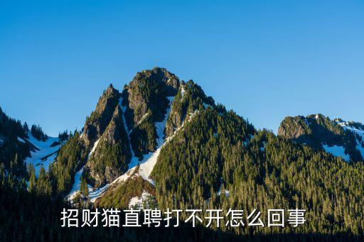  招财猫直聘打不开怎么回事