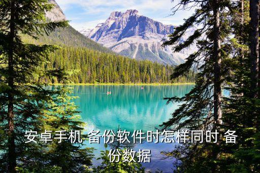  安卓手机 备份软件时怎样同时 备份数据