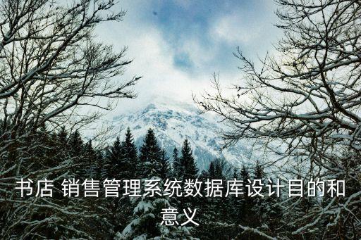 销售系统软件制作方案,店铺销售系统软件哪个好