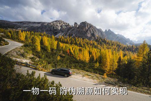 一物一码 防伪溯源如何实现