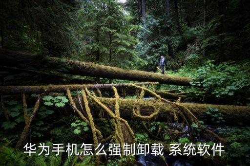 华为手机怎么强制卸载 系统软件