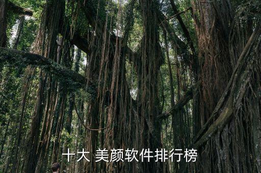 十大 美颜软件排行榜