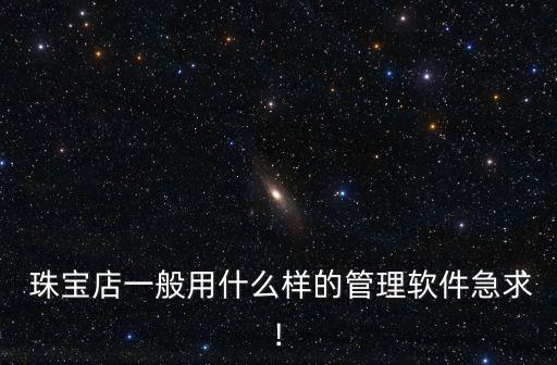  珠宝店一般用什么样的管理软件急求!