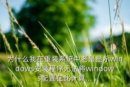 重新装系统软件无法使用,重装系统后部分软件无法安装怎么办?