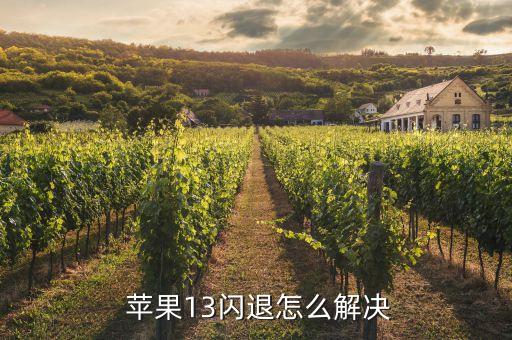  苹果13闪退怎么解决