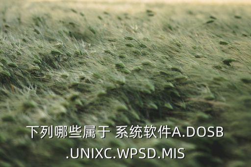 下列哪些属于 系统软件A.DOSB.UNIXC.WPSD.MIS