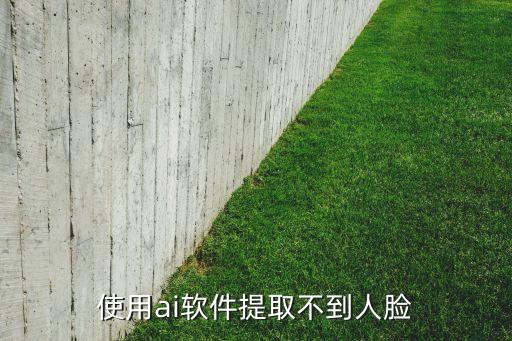 使用ai软件提取不到人脸