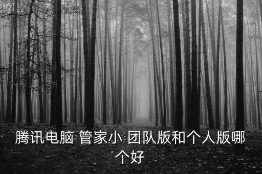 腾讯电脑 管家小 团队版和个人版哪个好