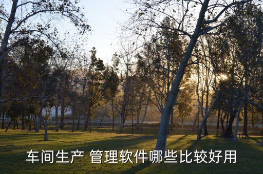 车间生产 管理软件哪些比较好用