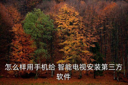 怎么样用手机给 智能电视安装第三方软件
