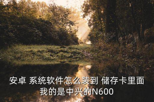 安卓 系统软件怎么装到 储存卡里面我的是中兴的N600