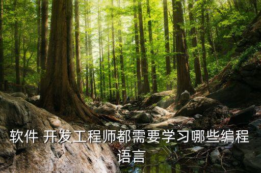 软件 开发工程师都需要学习哪些编程 语言
