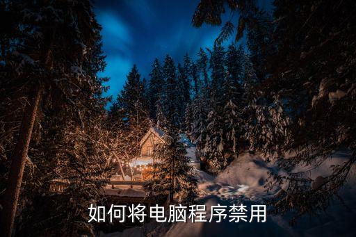 如何将电脑程序禁用