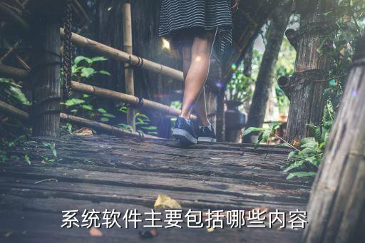 讲述系统软件有哪些,常见的计算机系统软件有哪些