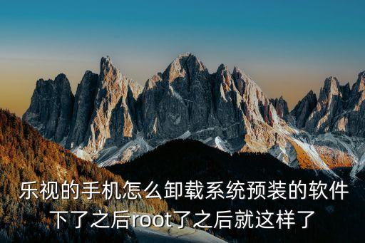 乐视系统软件