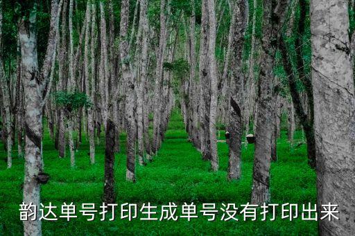  韵达单号打印生成单号没有打印出来