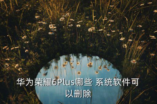 honor怎么卸载系统软件,卸载系统软件的app