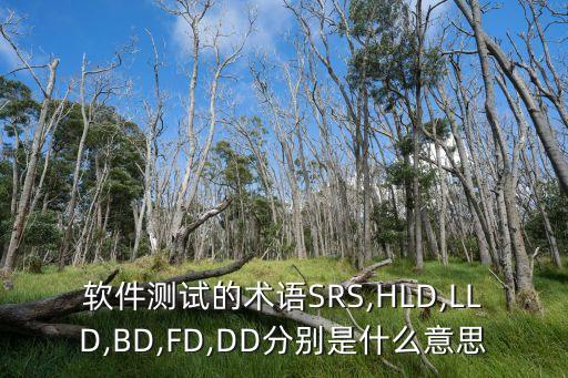 系统软件开发技术协议,软件开发保密协议