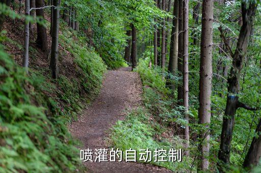 节水灌溉智能控制系统软件,智能农业灌溉系统涵盖哪些种类?