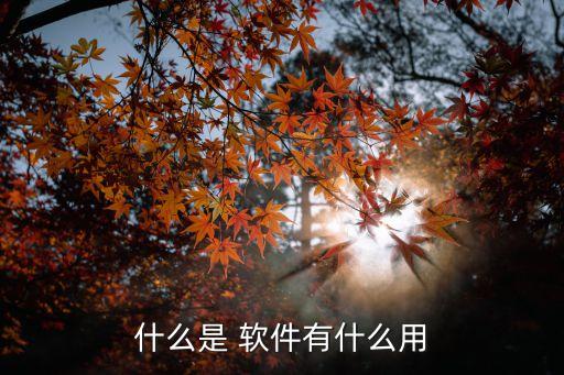 什么是 软件有什么用