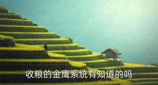 收粮的金鹰系统有知道的吗