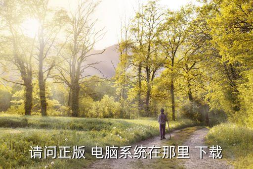 请问正版 电脑系统在那里 下载