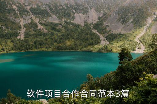软件项目合作合同范本3篇