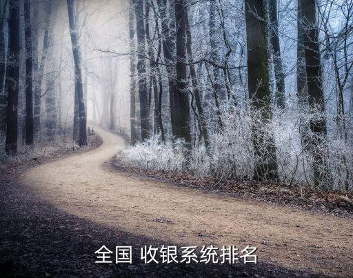 全国 收银系统排名