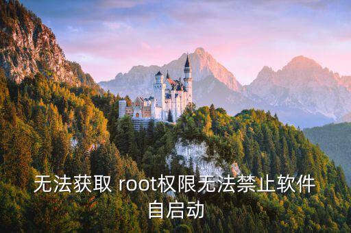 禁用系统软件无root,手机没root可以删系统软件吗?不可以!
