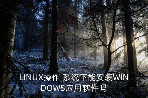 LINUX操作 系统下能安装WINDOWS应用软件吗