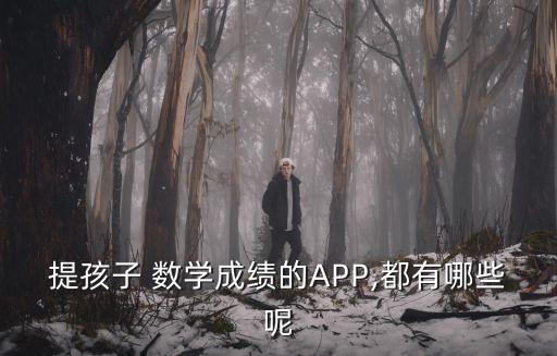 提孩子 数学成绩的APP,都有哪些呢