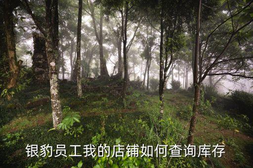 银豹员工我的店铺如何查询库存