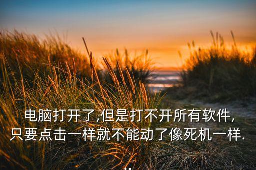  电脑打开了,但是打不开所有软件,只要点击一样就不能动了像死机一样...