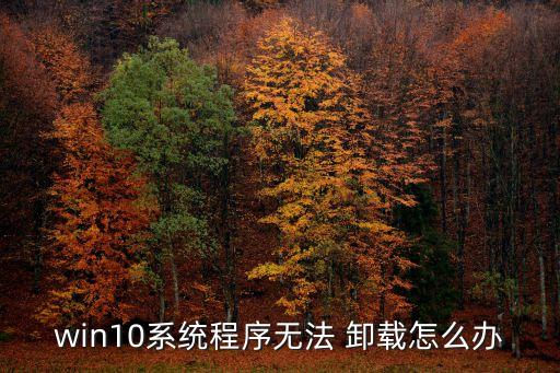 win10系统程序无法 卸载怎么办