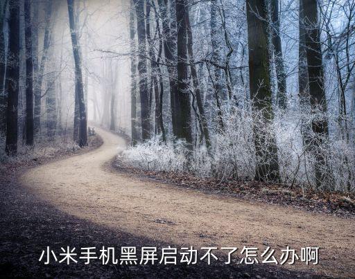  小米手机黑屏启动不了怎么办啊