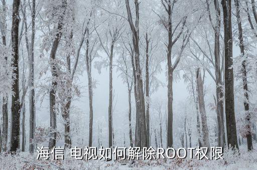  海信 电视如何解除ROOT权限