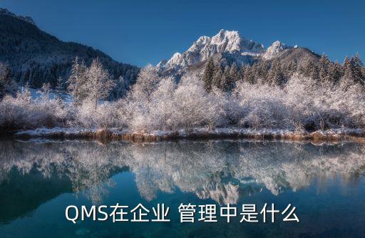 QMS在企业 管理中是什么