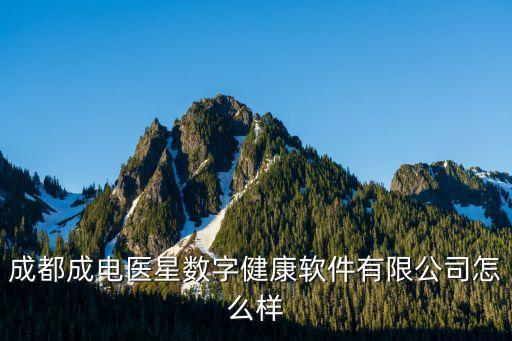 电子病历系统软件厂商