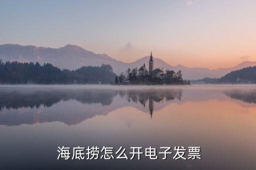  海底捞怎么开电子发票