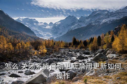 怎么 关闭系统自动更新禁用更新如何操作