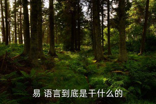 易 语言到底是干什么的