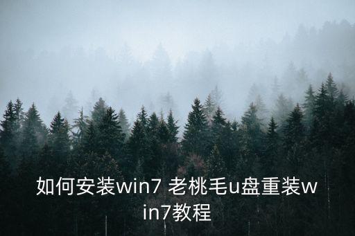 如何安装win7 老桃毛u盘重装win7教程