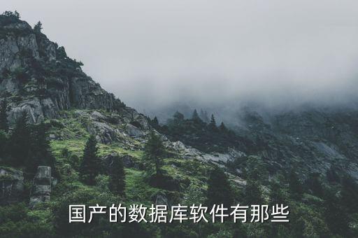 金融行业管理系统软件,本地金融行业软件上市公司有哪些