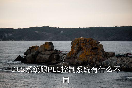 DCS系统跟PLC控制系统有什么不同