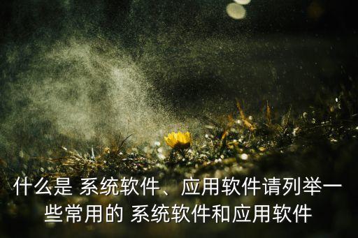 什么是 系统软件、应用软件请列举一些常用的 系统软件和应用软件