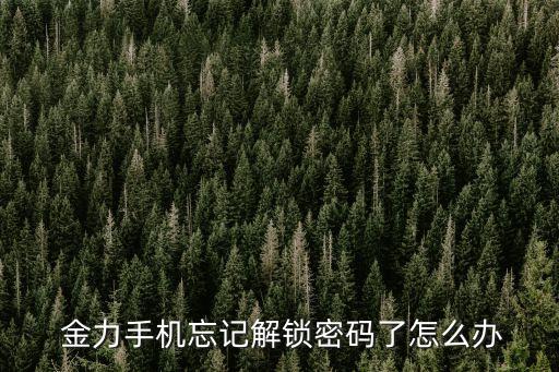  金力手机忘记解锁密码了怎么办