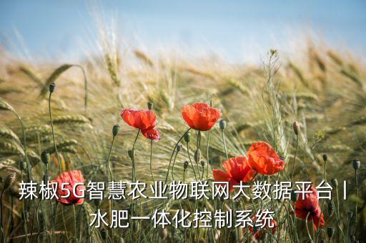 智能喷灌管理系统软件,美的智能管理系统IMM软件
