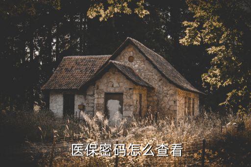 国家医保系统软件,国家医保服务平台怎么用?