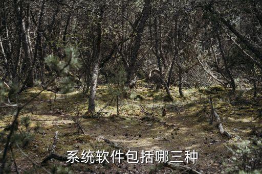  系统软件包括哪三种