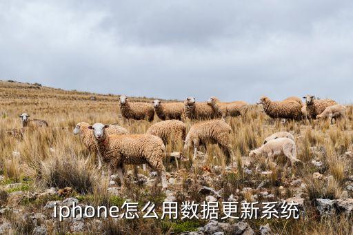 iphone怎么用数据更新系统